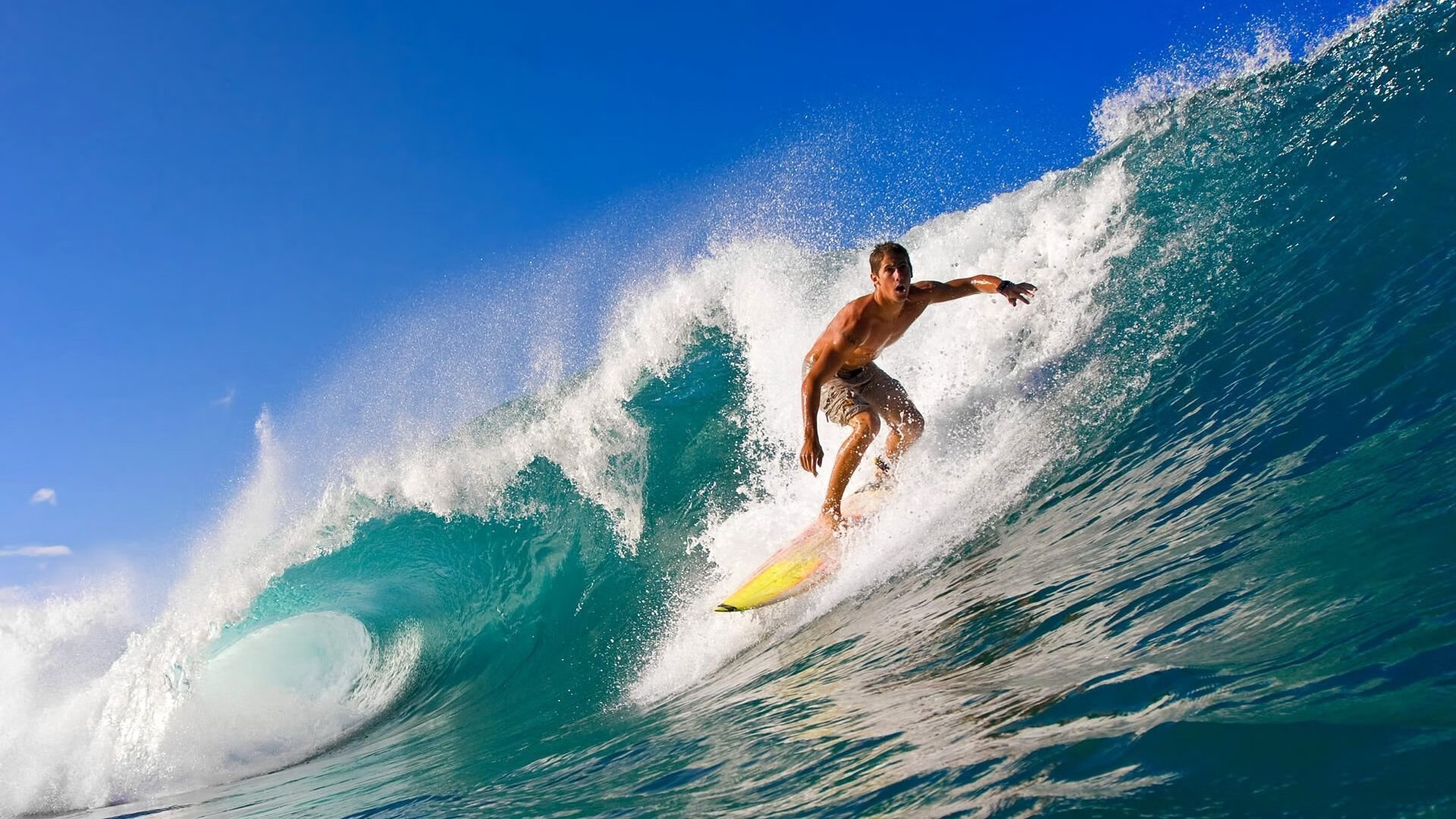 赛道与球场，速度与逆转的双重奏